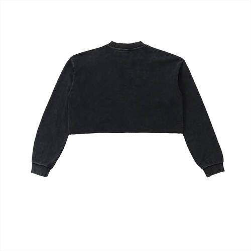 BLOOM IN THE DESERT-Snow Washed Raw Edge Cropped Sweatshirt